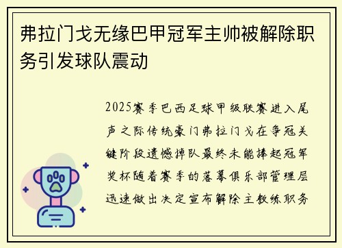 弗拉门戈无缘巴甲冠军主帅被解除职务引发球队震动
